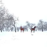 Hatablak Boutique Guesthouse In Koeveskal 3*