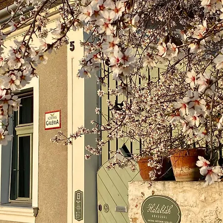 Hatablak Boutique In בית הארחה